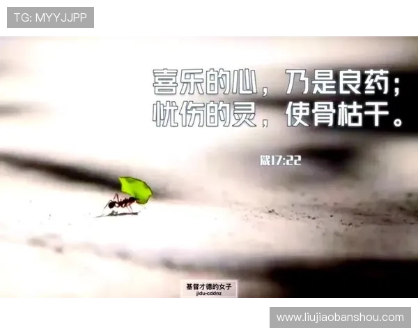 比尔内心的火焰在嘈杂中燃烧坚持不懈的力量与信念